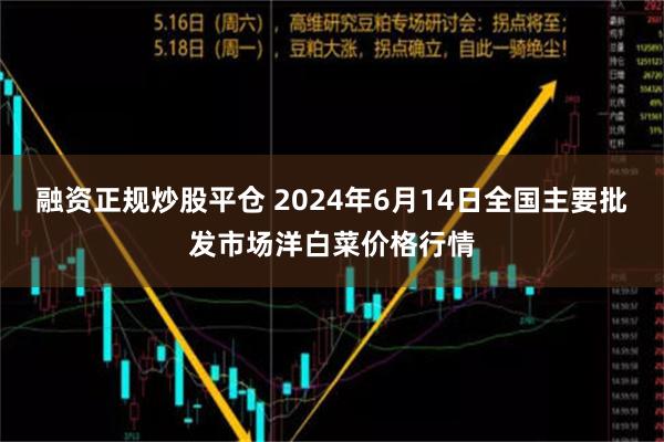 融资正规炒股平仓 2024年6月14日全国主要批发市场洋白菜价格行情