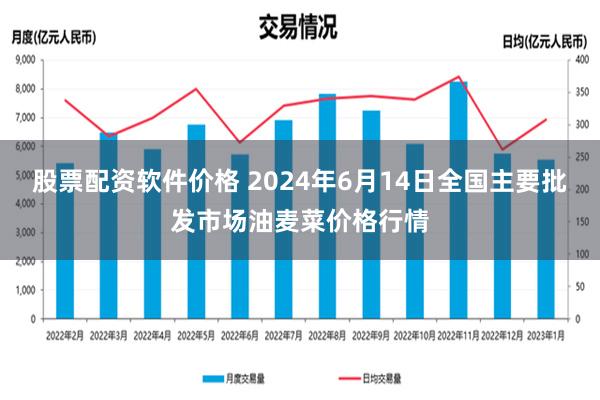 股票配资软件价格 2024年6月14日全国主要批发市场油麦菜价格行情