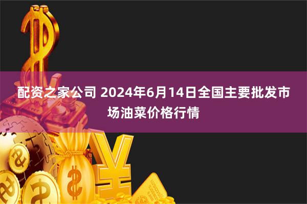 配资之家公司 2024年6月14日全国主要批发市场油菜价格行情