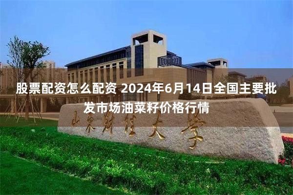 股票配资怎么配资 2024年6月14日全国主要批发市场油菜籽价格行情