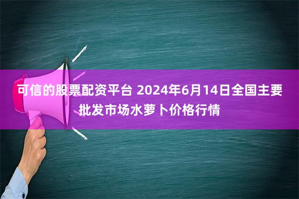 可信的股票配资平台 2024年6月14日全国主要批发市场水萝卜价格行情