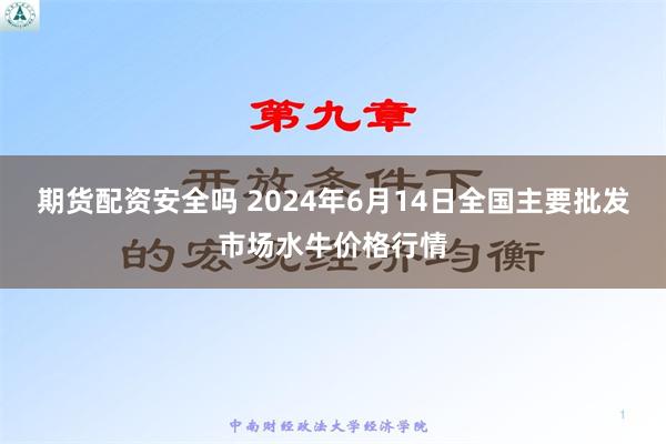 期货配资安全吗 2024年6月14日全国主要批发市场水牛价格行情