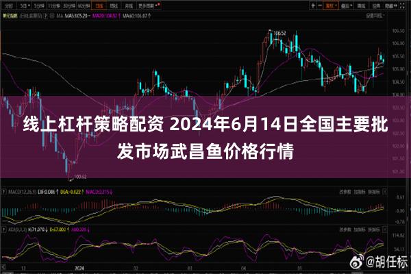 线上杠杆策略配资 2024年6月14日全国主要批发市场武昌鱼价格行情