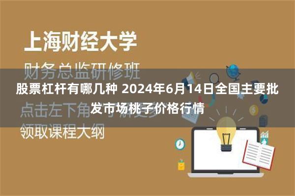 股票杠杆有哪几种 2024年6月14日全国主要批发市场桃子价格行情