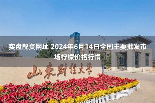 实盘配资网址 2024年6月14日全国主要批发市场柠檬价格行情