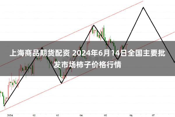 上海商品期货配资 2024年6月14日全国主要批发市场柿子价格行情