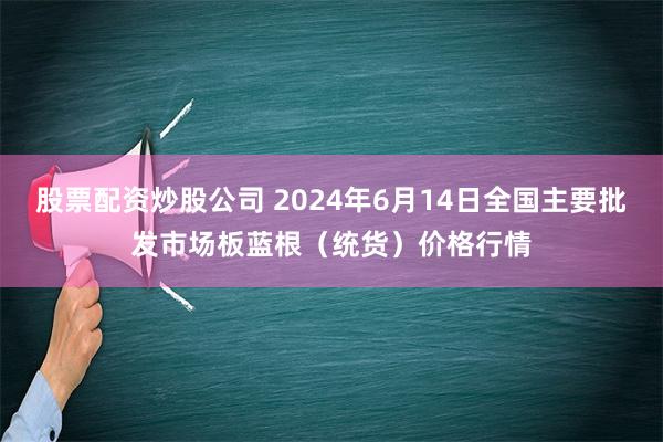 股票配资炒股公司 2024年6月14日全国主要批发市场板蓝根（统货）价格行情