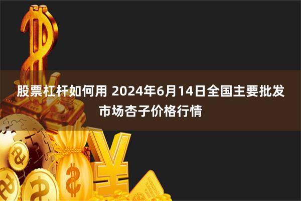 股票杠杆如何用 2024年6月14日全国主要批发市场杏子价格行情