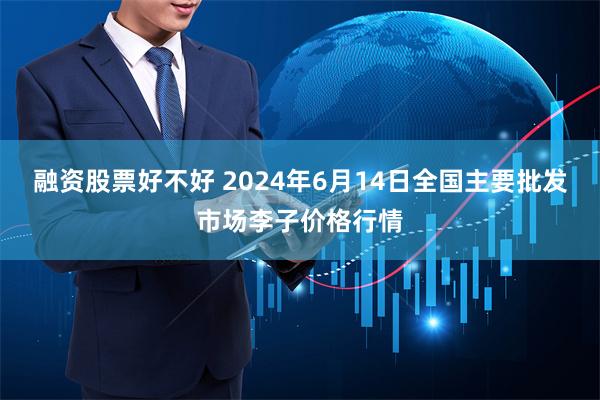 融资股票好不好 2024年6月14日全国主要批发市场李子价格行情