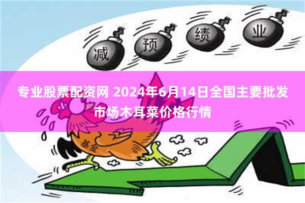 专业股票配资网 2024年6月14日全国主要批发市场木耳菜价格行情