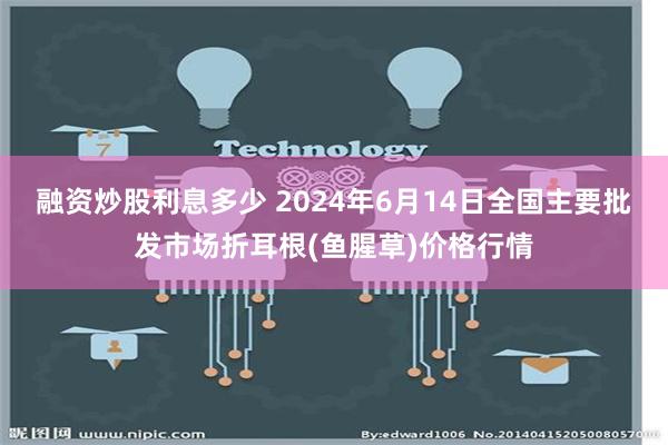 融资炒股利息多少 2024年6月14日全国主要批发市场折耳根(鱼腥草)价格行情