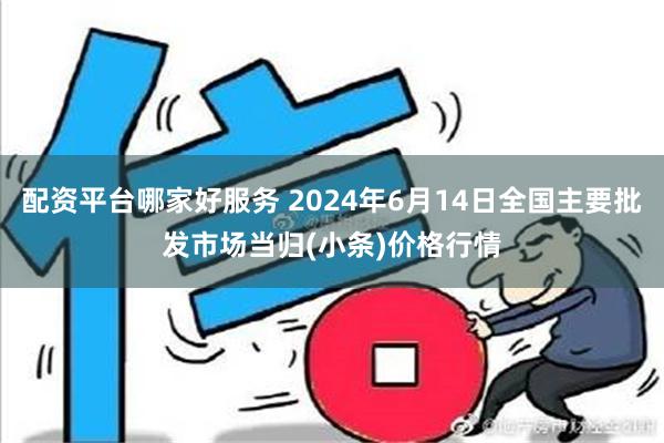 配资平台哪家好服务 2024年6月14日全国主要批发市场当归(小条)价格行情