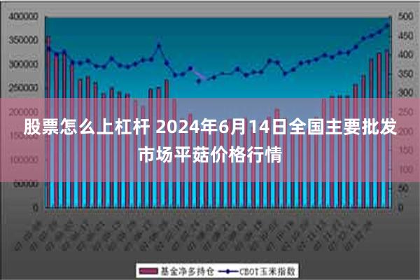 股票怎么上杠杆 2024年6月14日全国主要批发市场平菇价格行情