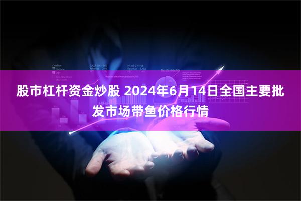 股市杠杆资金炒股 2024年6月14日全国主要批发市场带鱼价格行情