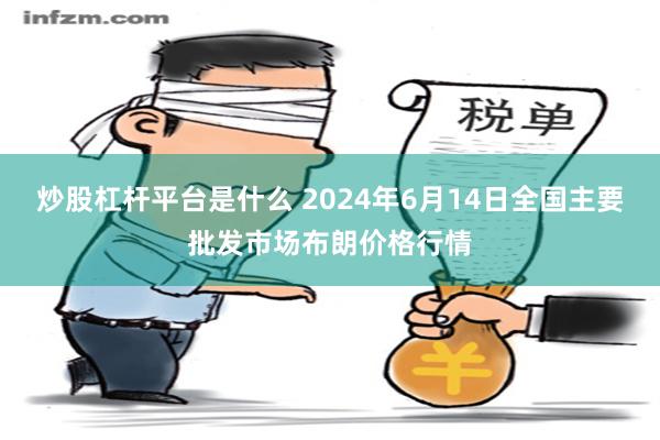 炒股杠杆平台是什么 2024年6月14日全国主要批发市场布朗价格行情