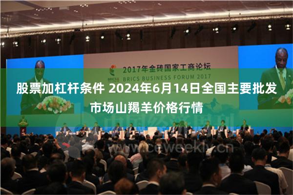 股票加杠杆条件 2024年6月14日全国主要批发市场山羯羊价格行情