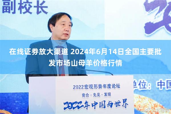 在线证劵放大渠道 2024年6月14日全国主要批发市场山母羊价格行情