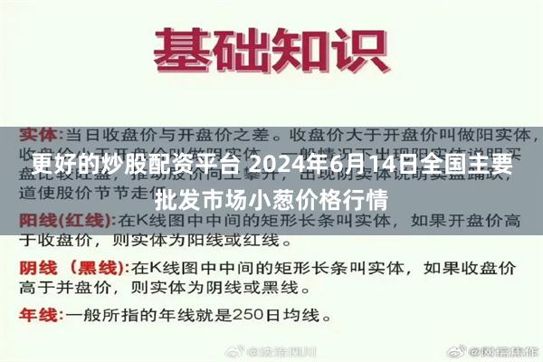 更好的炒股配资平台 2024年6月14日全国主要批发市场小葱价格行情