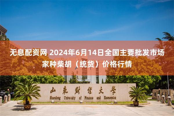 无息配资网 2024年6月14日全国主要批发市场家种柴胡（统货）价格行情