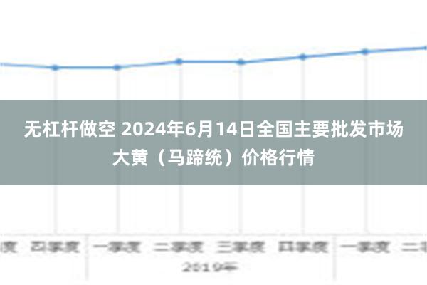 无杠杆做空 2024年6月14日全国主要批发市场大黄（马蹄统）价格行情