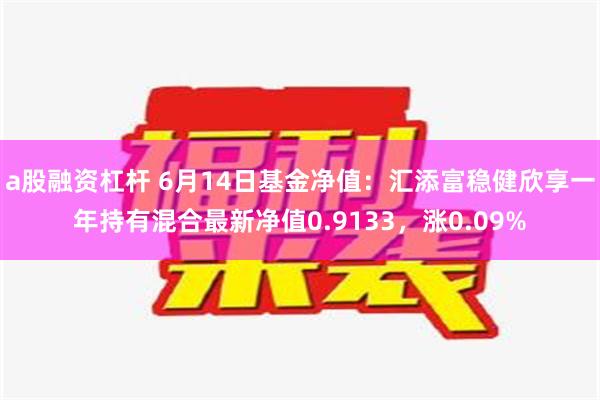 a股融资杠杆 6月14日基金净值：汇添富稳健欣享一年持有混合最新净值0.9133，涨0.09%