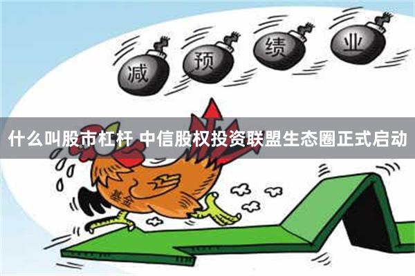 什么叫股市杠杆 中信股权投资联盟生态圈正式启动