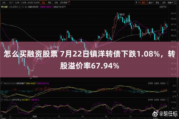 怎么买融资股票 7月22日镇洋转债下跌1.08%，转股溢价率67.94%