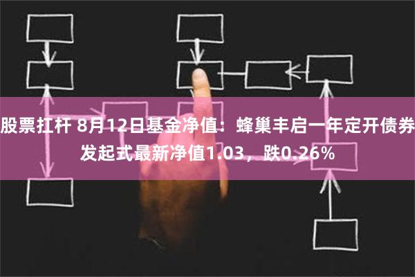 股票扛杆 8月12日基金净值：蜂巢丰启一年定开债券发起式最新净值1.03，跌0.26%