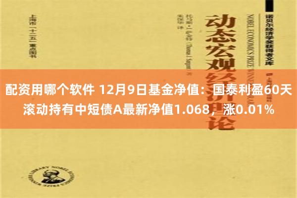 配资用哪个软件 12月9日基金净值：国泰利盈60天滚动持有中短债A最新净值1.068，涨0.01%